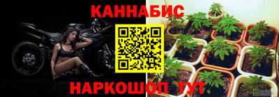 твердый Можга