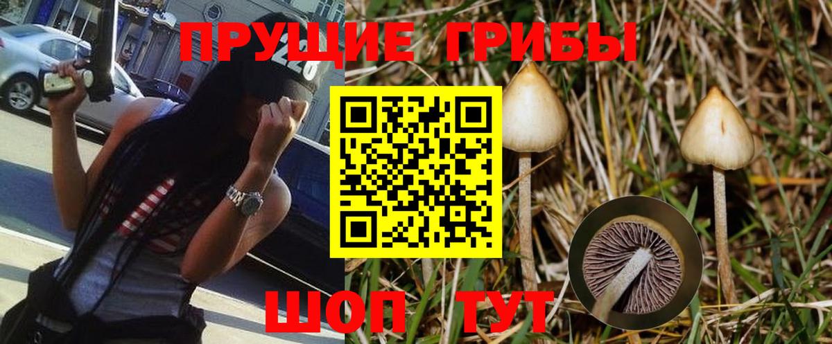 Великий Устюг  Псилоцибиновые грибы MAGIC MUSHROOMS  Вход с VPN 